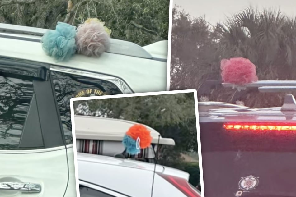 Blanco, rosa, verde - ¿qué hay detrás de las esponjas coloridas en The Villages?
