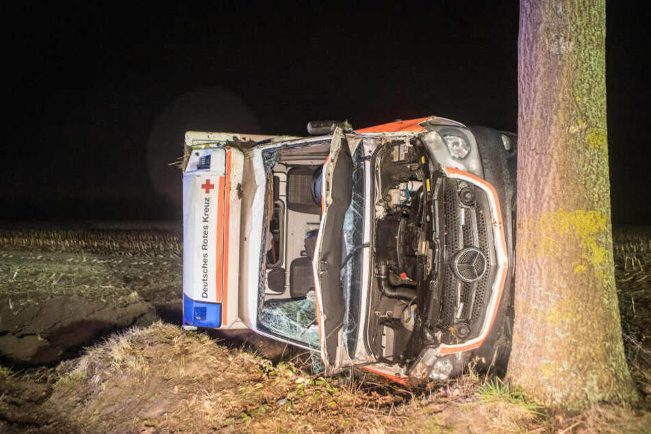 Der Wagen kam erst an einem Baum zum Stehen.