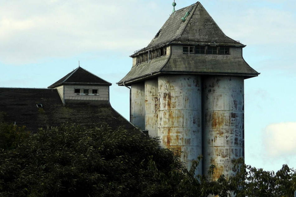 Silo-Drama um Lion (†11) in Sachsen: Ermittlungen eingestellt