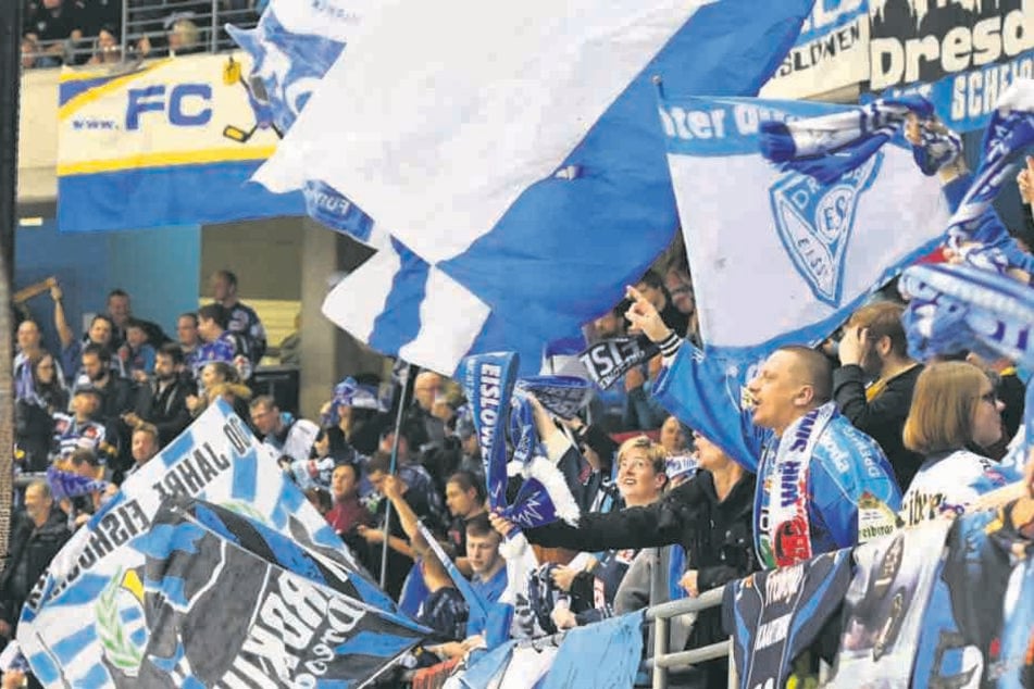 Die Dresdner Fans musste anfangs Schmalkost ertragen, durften aber am Ende den nächste Sieg bejubeln.