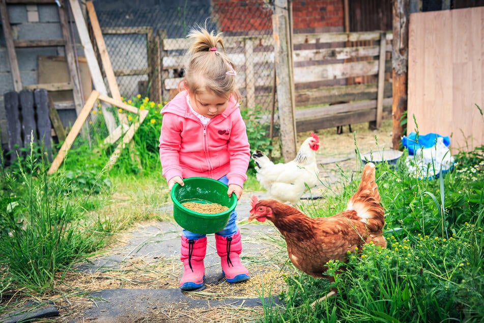 Viele Eltern wollen mit ihren Kindern die Herbstferien im Corona-Jahr auf dem Bauernhof verbringen.