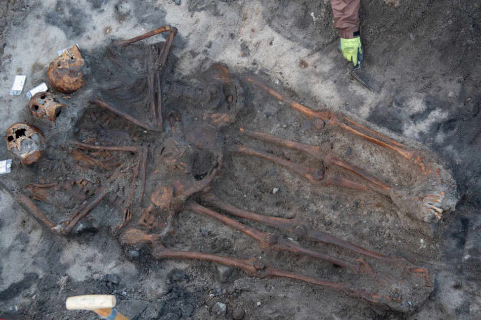 Mitarbeiter vom Archäologisches Landesamt Schleswig-Holstein haben auf dem Campingplatz drei Skelette freigelegt.