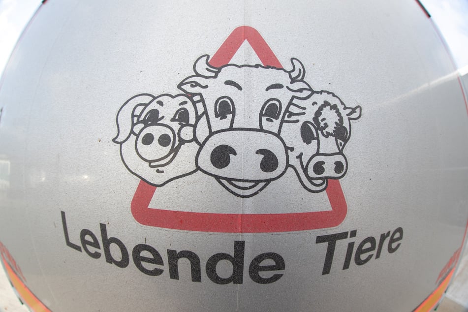 Der Verkauf von Nutztieren in die vom Krieg betroffenen Länder und in die Anrainerstaaten müsse momentan in Sachsen ausgesetzt werden.
