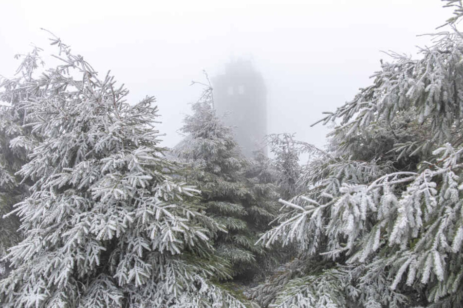 Schnee und Nebel, so sieht der Muttertag im Erzgebirge aus.