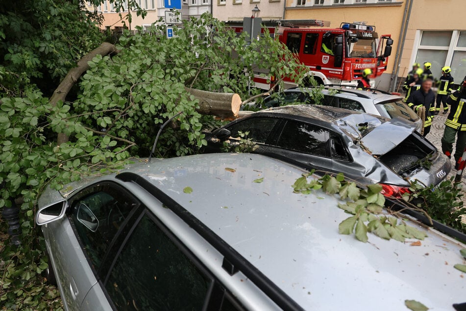 In Lößnitz ist ein Ast auf drei geparkte Fahrzeuge gestürzt und hat diese beschädigt.