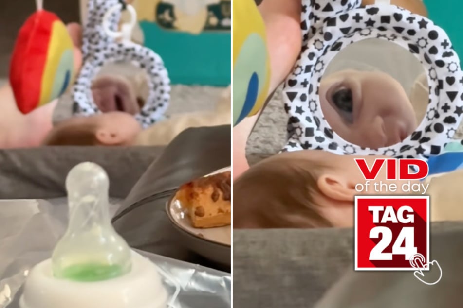 viral videos: Viral Video of the Day for April 15, 2026: Baby stops mid-cry after seeing his own creepy reflection