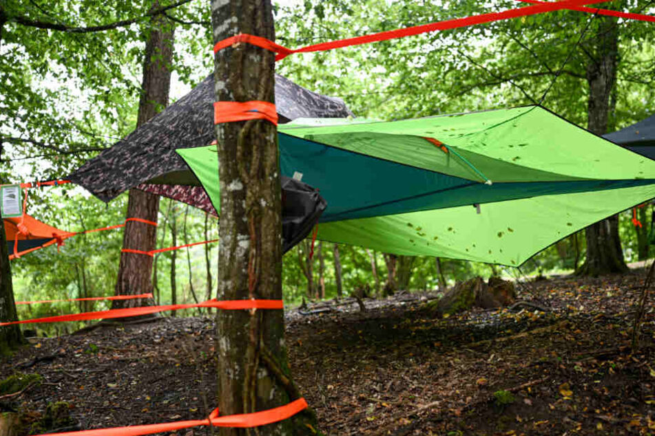 Mehrere Zelte sind zwischen den Bäumen bei der Survival- und Outdoormesse gespannt.