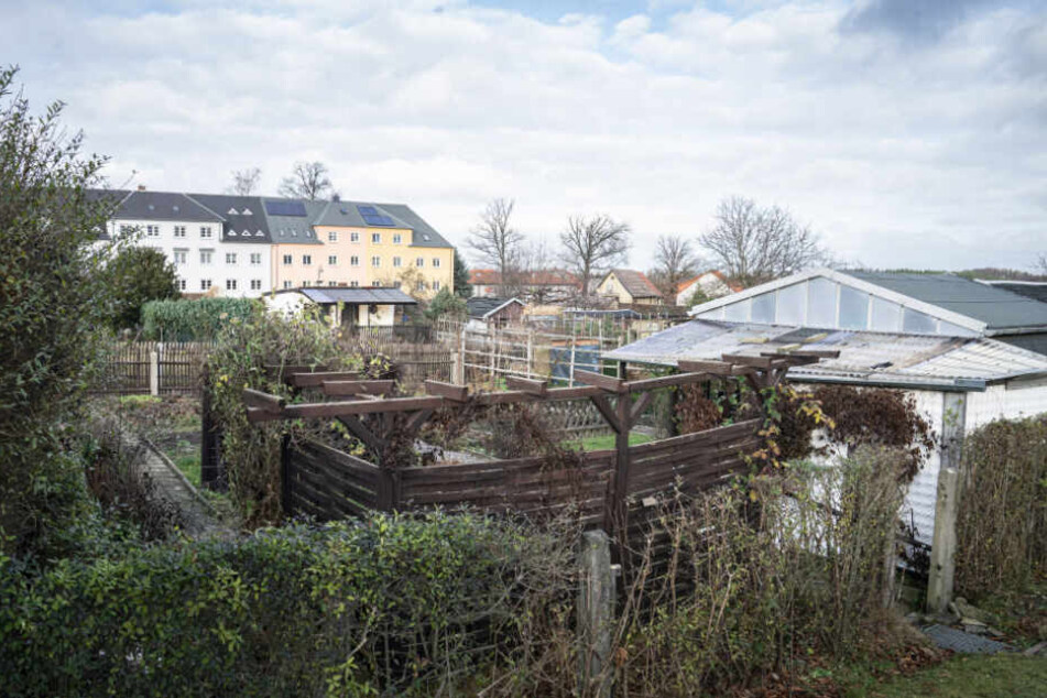 Die Stadt begründet die Bebauung mit dem hohen Leerstand der Gärten. 31 der betroffenen Schollen stehen bereits leer. Die meisten Kleingärtner hatten keine Lust, sich mit der Stadtverwaltung anzulegen.