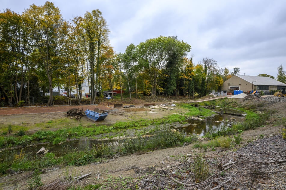 Am Pleißenbach in Chemnitz müssen Bäume gefällt werden.