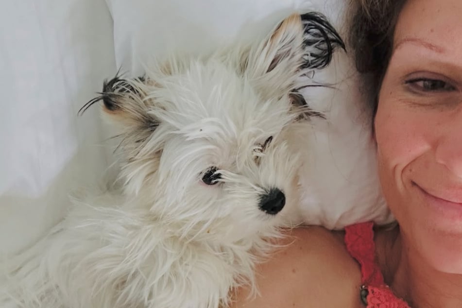 Hündin Frida erlitt vor wenigen Tagen einen Herzstillstand.