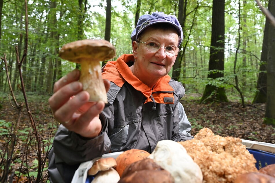 Pilzberaterin Stefanie Kobrow (67) zeigt stolz ihren Steinpilz.