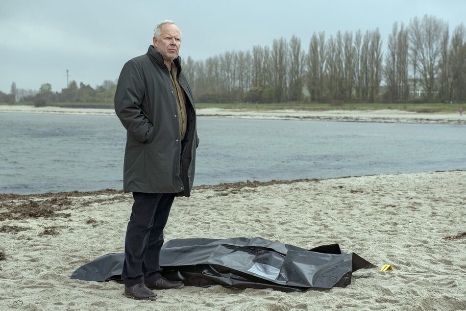 Klaus Borowski (Axel Milberg, 68) sucht verzweifelt nach Hinweisen zu den Toten.