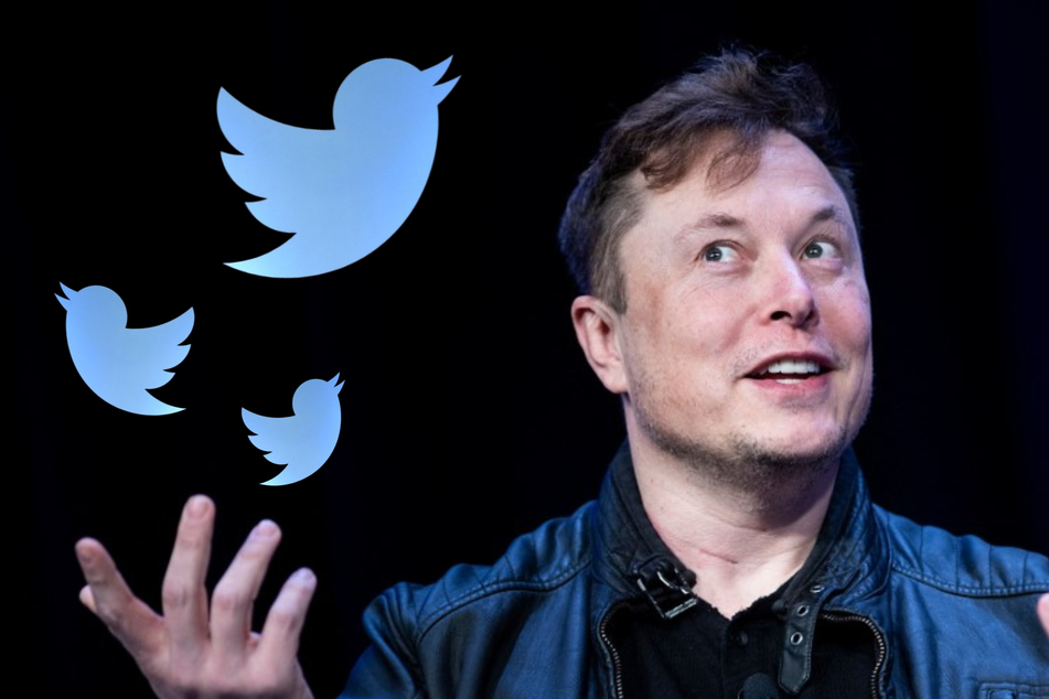 Elon Musk sued by Twitter shareholders for driving down stock prices ...