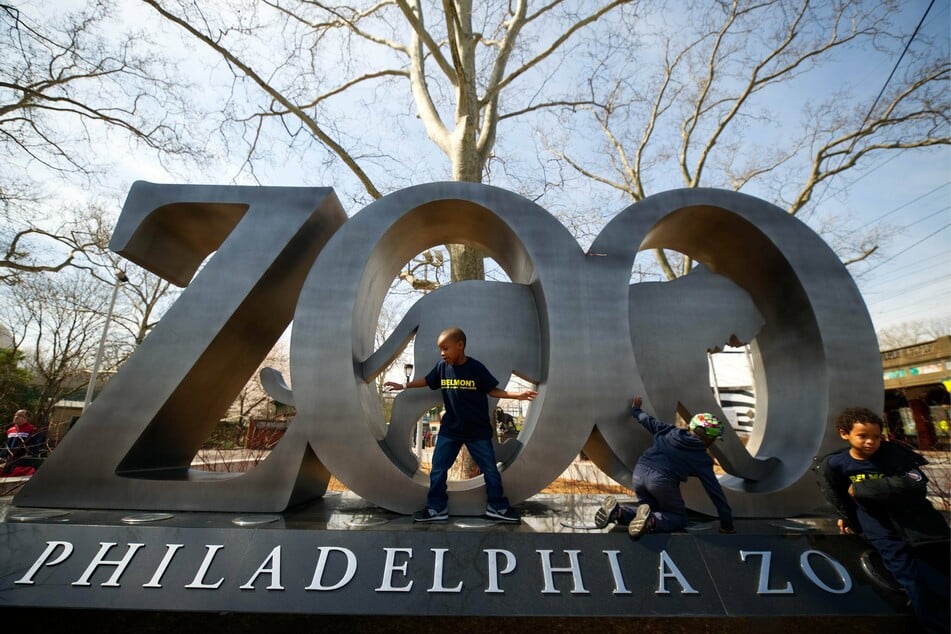 Philadelphia Zoo rolls out Covid-19 vaccination campaign for its animals