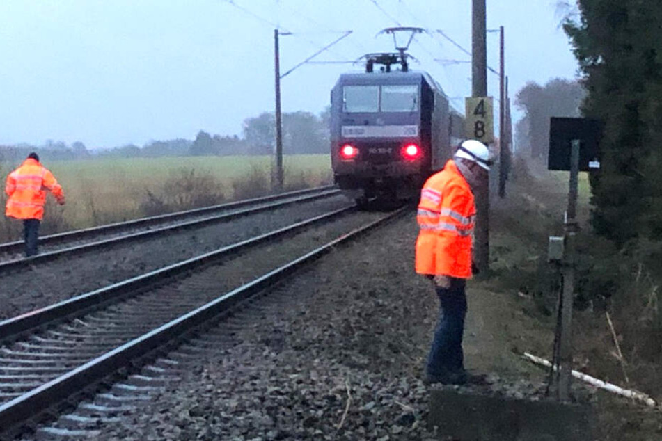 Der Intercity kam wegen eines Baumes auf der Strecke nicht mehr weiter.