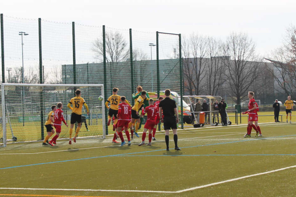 Das 1:0 für Dynamos U19: Einen Eckball von rechts köpft Maximilian Großer (vor Cottbus-Keeper Gerome Gartz) zur Führung ins Netz.