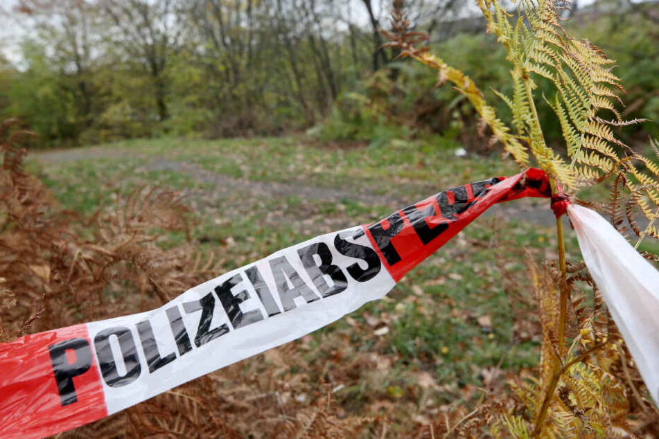 Die Leiche wurde in der Feldmark im Bereich Gremersdorf-Ostholstein aufgefunden (Symbolbild).