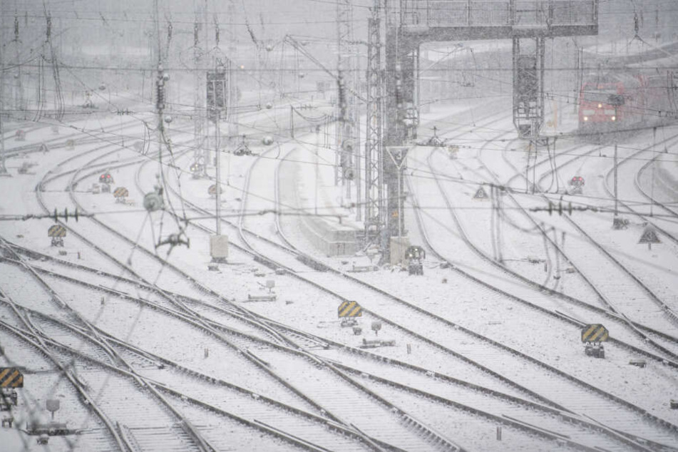 Der Winter hatte Bayern und Deutschland im Januar fest im Griff.