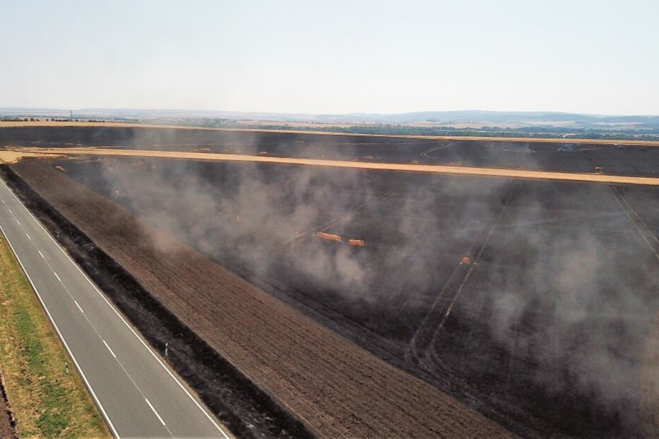 Bei Großrettbach forderte das Feuer große Opfer, das komplette Feld brannte ab.
