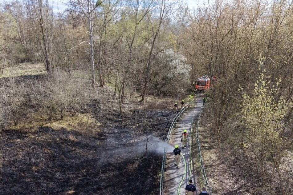 Berlin: Berliner Felder in Flammen: Mehrere Brände halten Feuerwehr auf Trab
