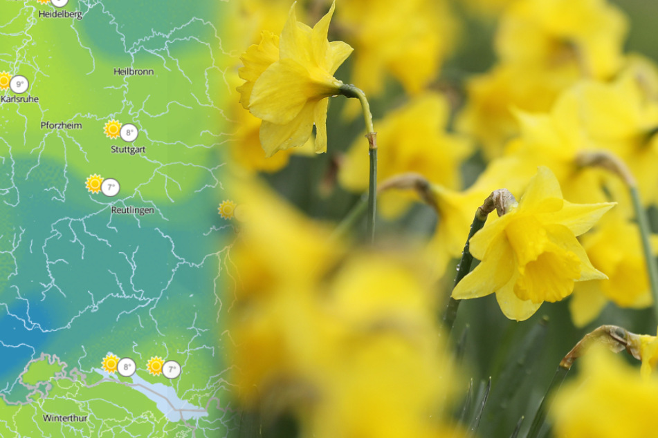 Die Temperaturen werden frühlingshaft.