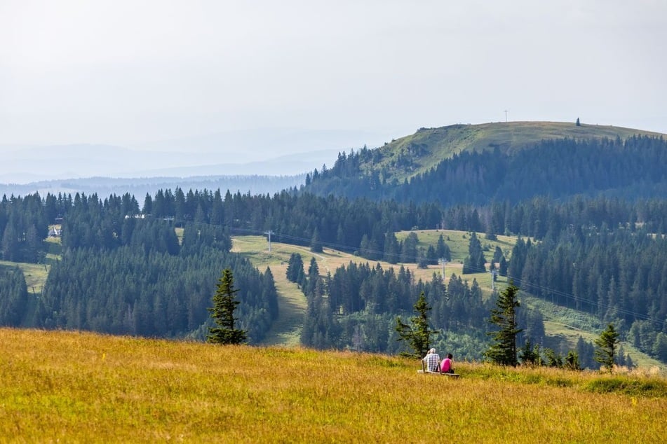 Es gibt kaum Daten zum Vorkommen des Riesenregenwurms im Schwarzwald. (Archivfoto)