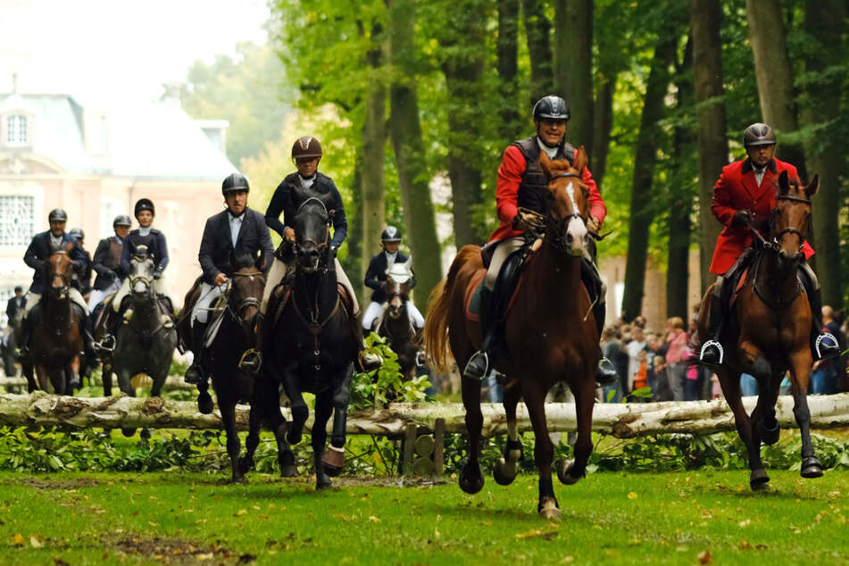 Reiter folgen am Schloss Clemenswerth der Cappenberger Hundemeute.