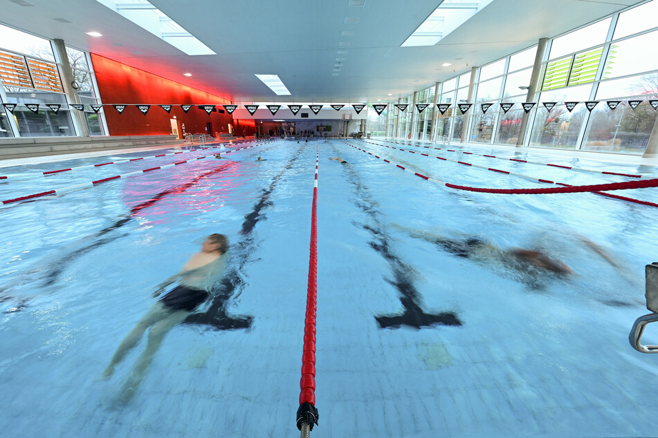 Aktuell müssen sich Athleten in Magdeburg eine Schwimmhalle mit der Öffentlichkeit teilen. (Symbolbild)