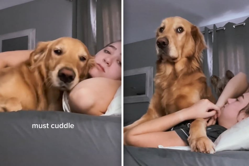 Video zeigt, wie süß ein Hund sein Frauchen weckt - doch dahinter steckt eine todtraurige Geschichte