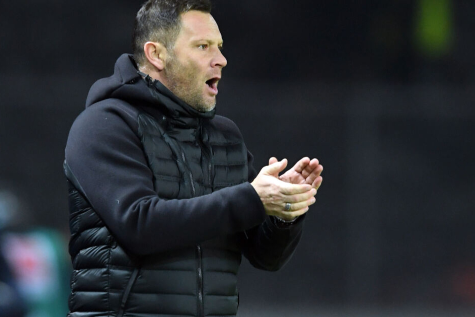 Pal Dardai sieht seinen Innenverteidiger schon in der Nationalmannschaft.
