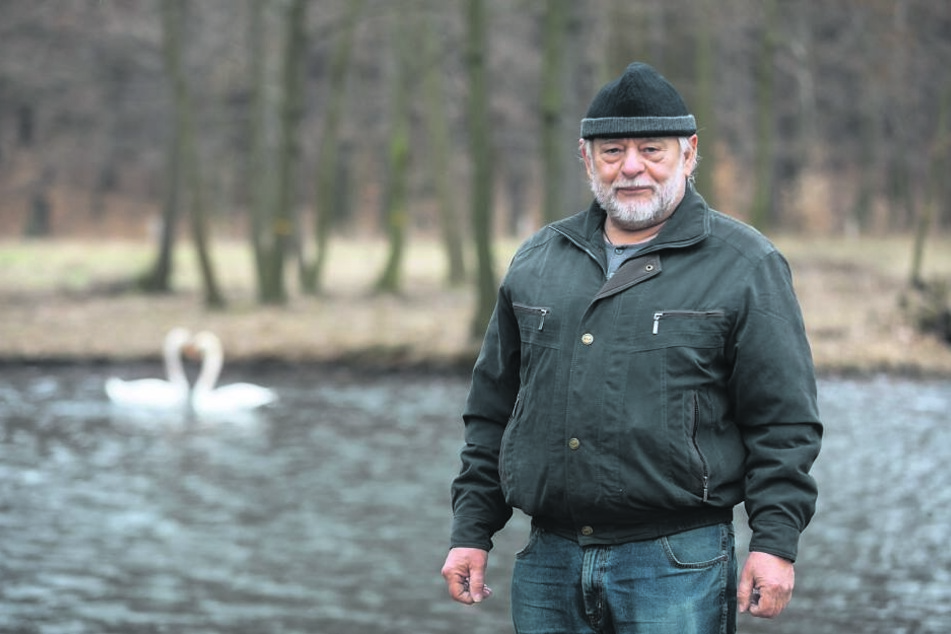 Schwanenpapa Kurt Clave (66) wird sich um die beiden Schwäne kümmern.
