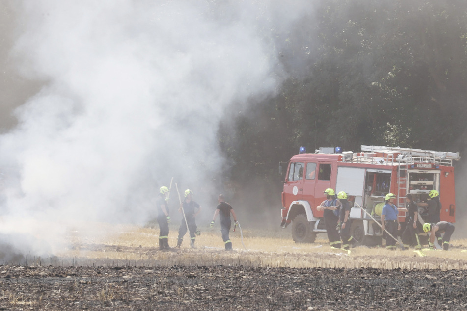 Größerer Feldbrand in Thüringen: Menschen evakuiert, ein Feuerwehr-Kamerad verletzt