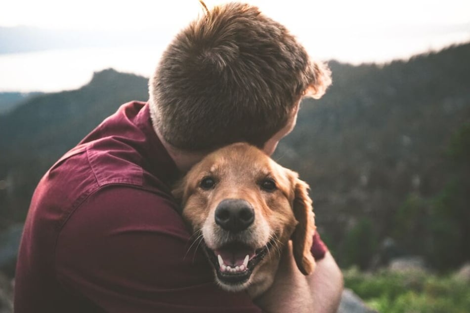 Dogs can like hugs, but it some cases, it can also make them feel threatened.