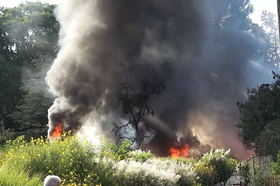 Zwei Gewächshäuser, Holzpaletten und andere Gegenstände waren in Brand geraten.