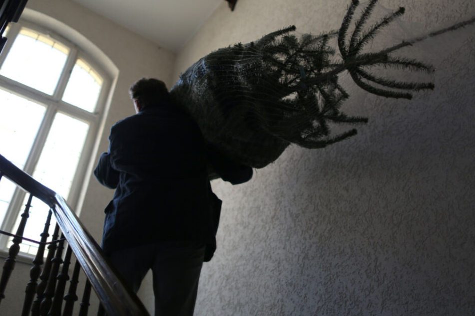 Ein Mann trägt einen Weihnachtsbaum in eine Wohnung. (Symbolbild)