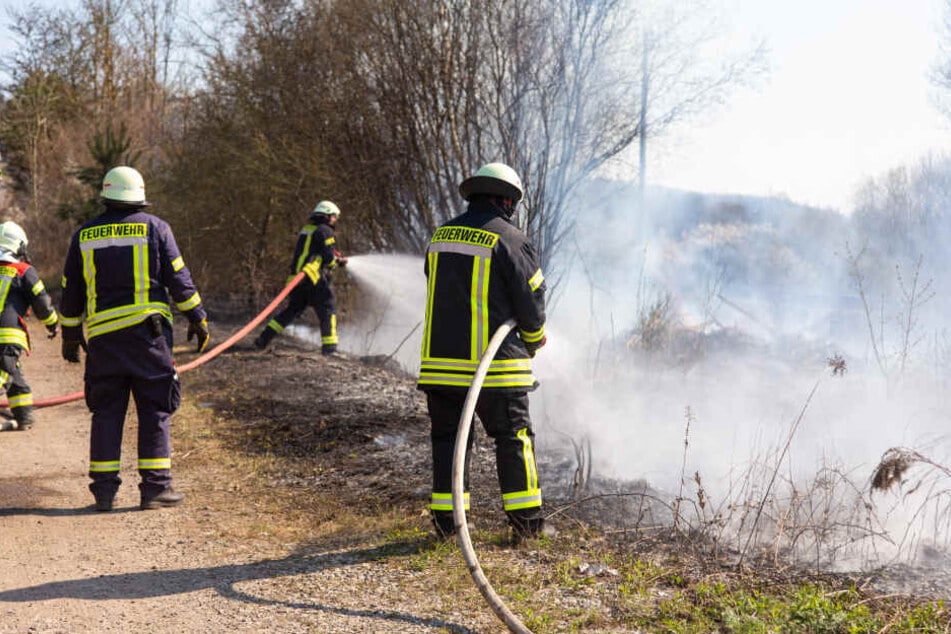 Die Feuerwehren waren mit 28 Fahrzeugen im Einsatz.