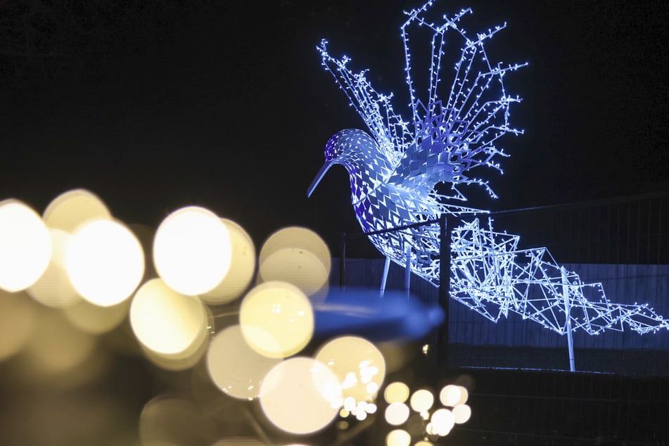 Funkelndes Erlebnis bei Dunkelheit. Der Zoo Leipzig lädt zum "Magischen Tropenleuchten" ein.