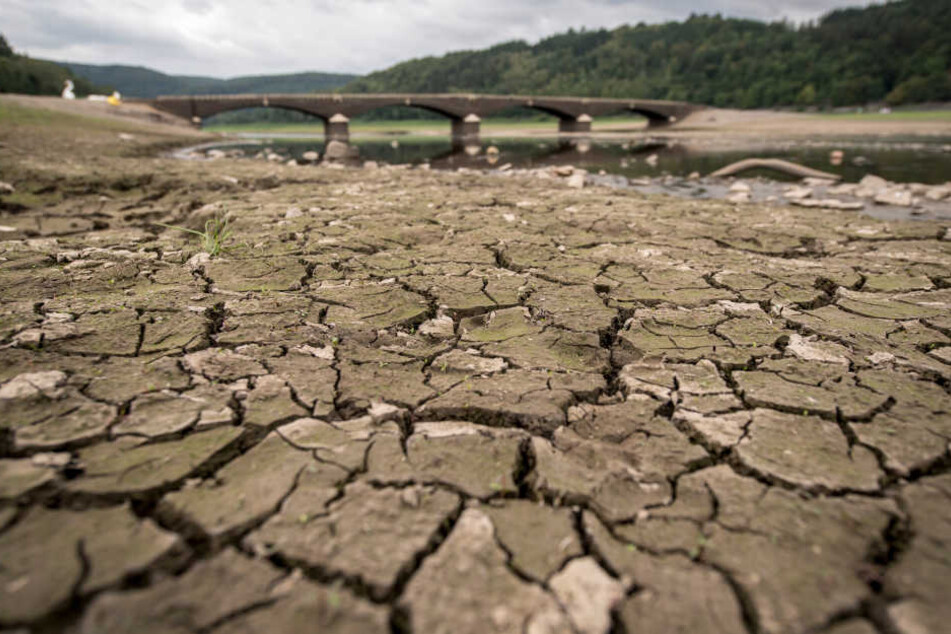 Der Edersee wird in den kommenden Tagen wohl aller Voraussicht nach nur noch zu etwa zehn Prozent gefüllt sein.