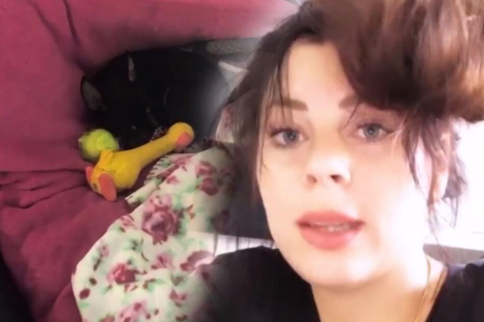 Sieht leicht verrückt aus: Jenny Frankhauser, links im Bild ihre Hündin Haylie.