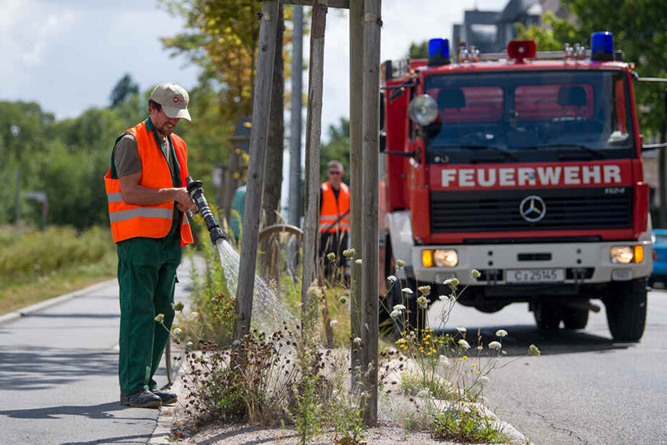 An besonders heißen Tagen versorgt das Grünflächenamt die hiesigen Bäume mit bis zu 21.000 Liter Wasser.