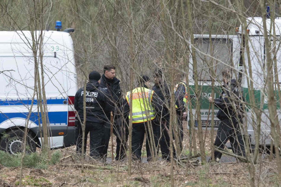 Drei Tage lang durchkämmte die Polizei ein Waldstück auf der Suche nach einer Leiche.
