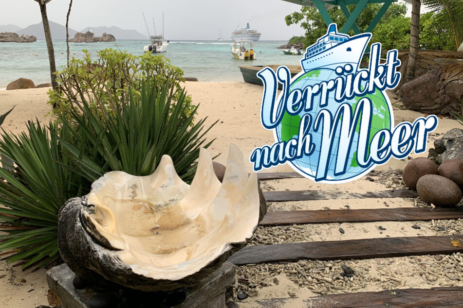 Verrückt nach Meer: Unwetter auf den Seychellen! Was passiert in der heutigen Folge?
