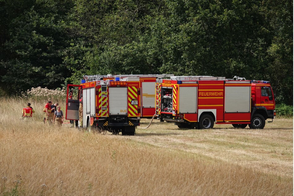 Die Dresdner Feuerwehr löschte am Montagnachmittag einen Waldbrand.