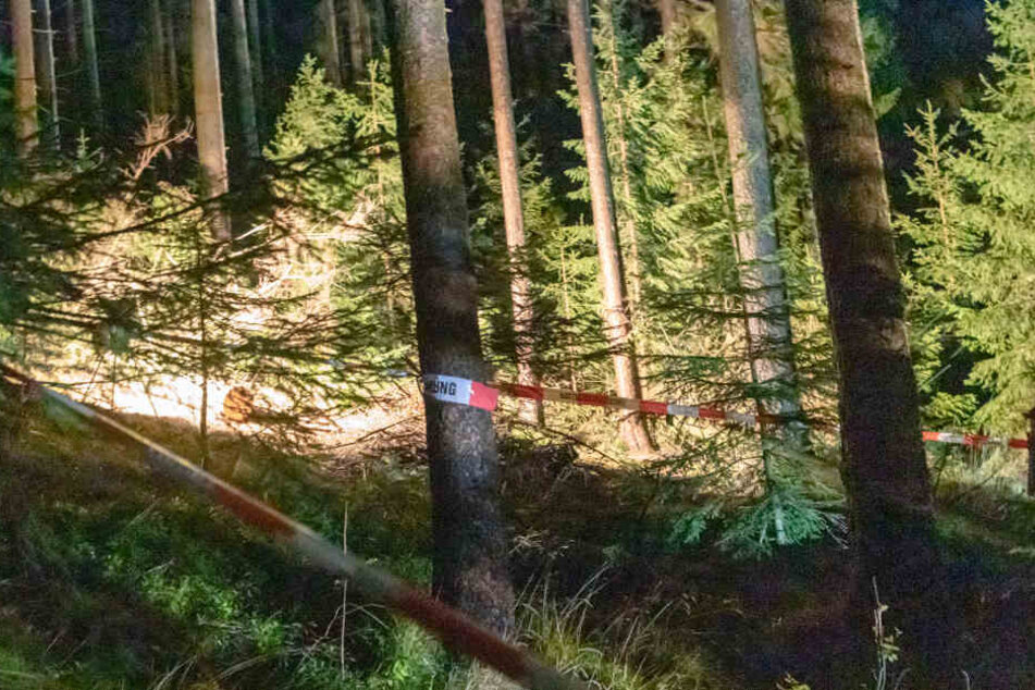 In einem Waldstück an der Waschleithner Straße in Schwarzbach wurde ein toter Mann gefunden.