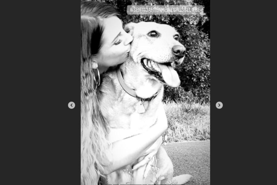 Jenny und ihre Hündin Priscilla gehen seit elf Jahren zusammen durchs Leben.