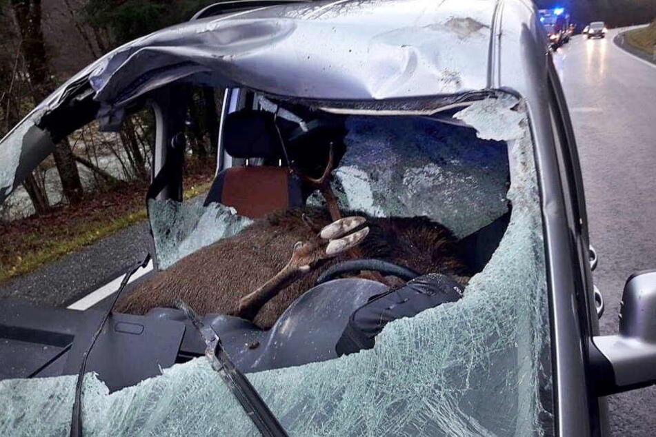 Der 47-jährige Vater und sein Sohn wurden bei dem Unfall verletzt.