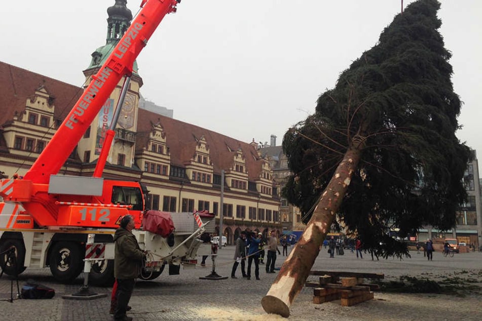 Der Nadelbaum wurde mithilfe eines Kranes der Feuerwehr Leipzig aufgerichtet.