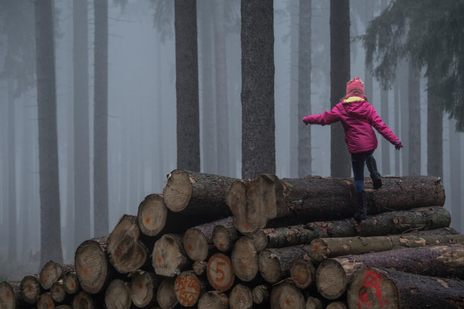 Spaziergänger werden angehalten, die Wege nicht zu verlassen (Symbolfoto).