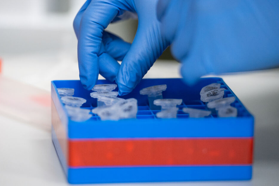 Bevor die Patienten wieder entlassen werden, müssen sie mehrere Tests durchlaufen.