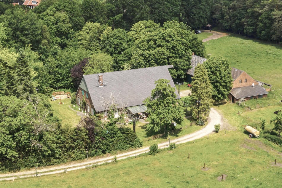 Im "Sommerhaus der Stars" mussten sich zehn Promi-Pärchen in verschiedenen Spielen miteinander messen.